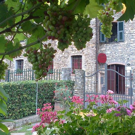 Agriturismo A Veggia Vigna Villa Garlenda Kültér fotó